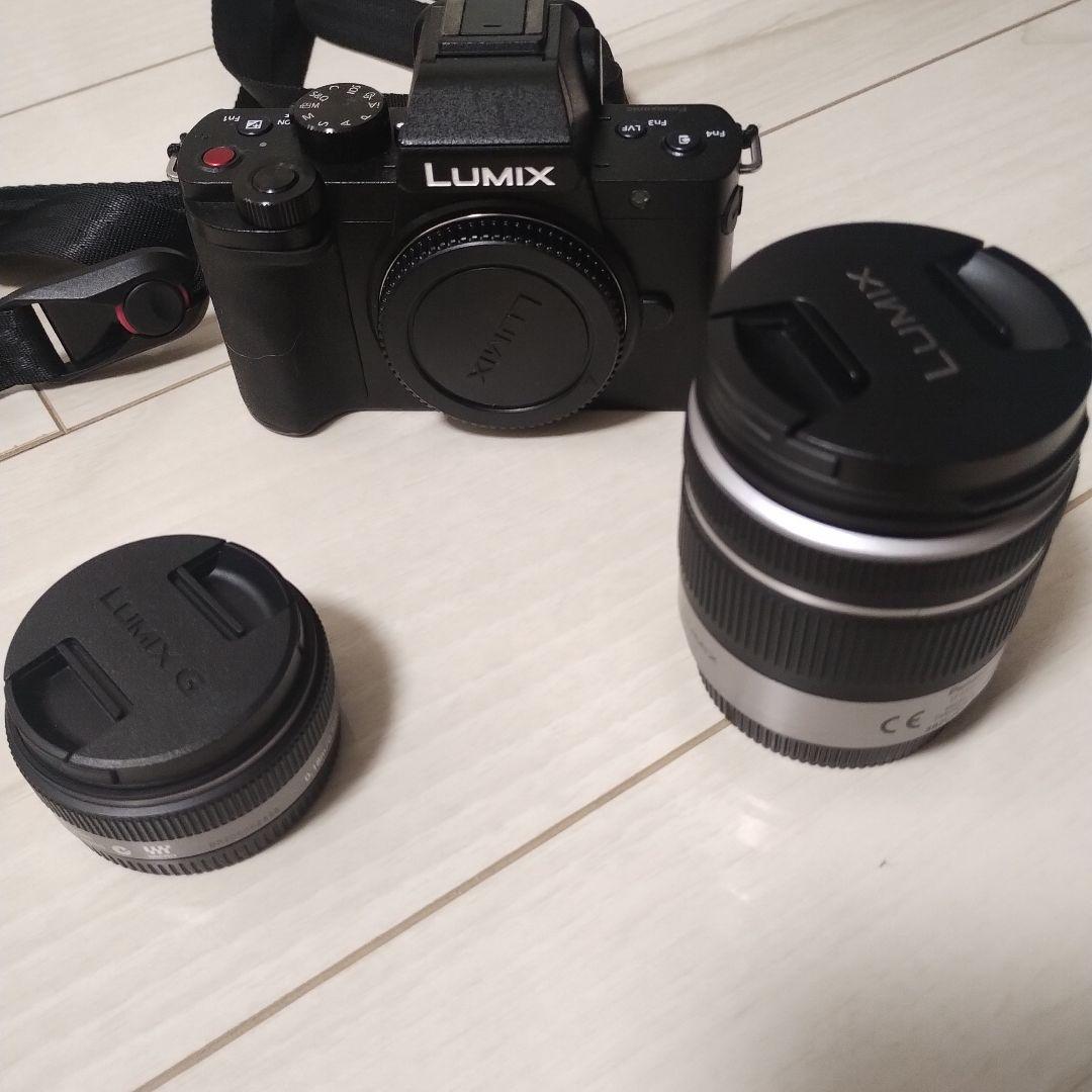 LUMIX ミラーレス一眼カメラ G100