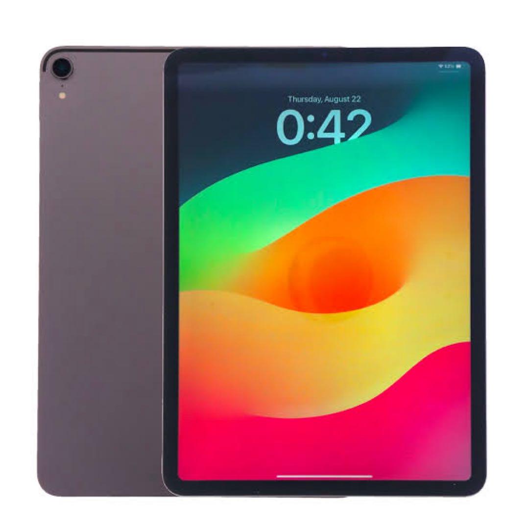 極美品】iPad Pro 11 1世代 Wi-Fi 256GB グレイ ペン付 - メルカリ