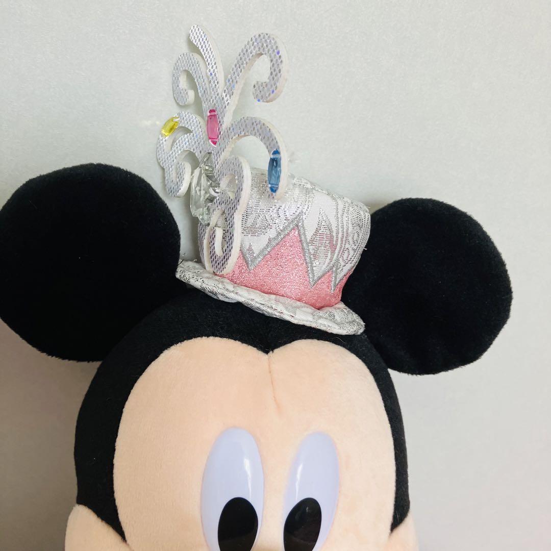 ミッキー ミニー ぬいぐるみ ビリーヴシーオブドリームス