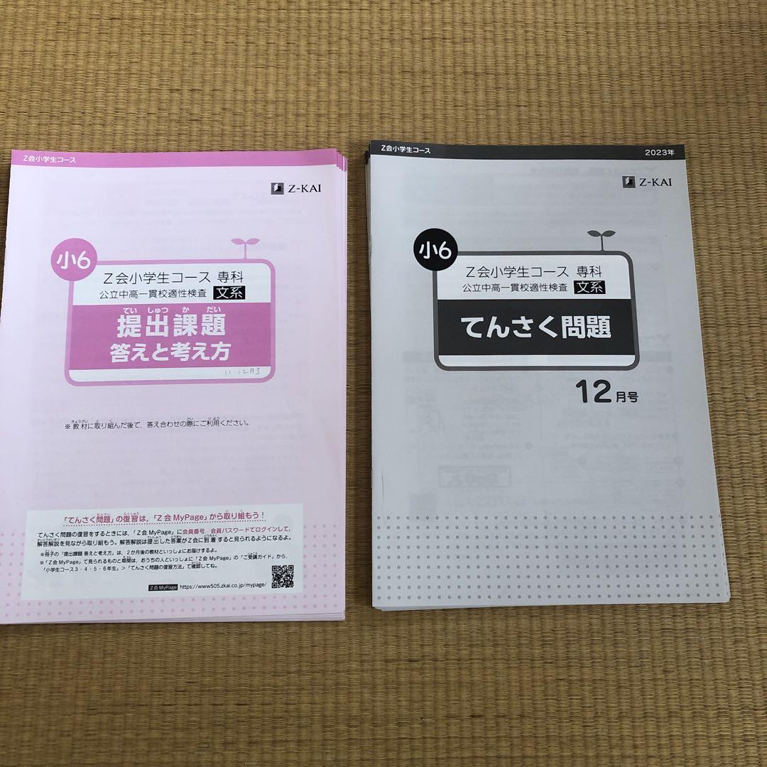 Z会 エブリスタディ 公立中高一貫校適性検査 小6 未記入 Z会 エブリスタディ2023年 公立中高一貫校適性検査 6年 1年分
