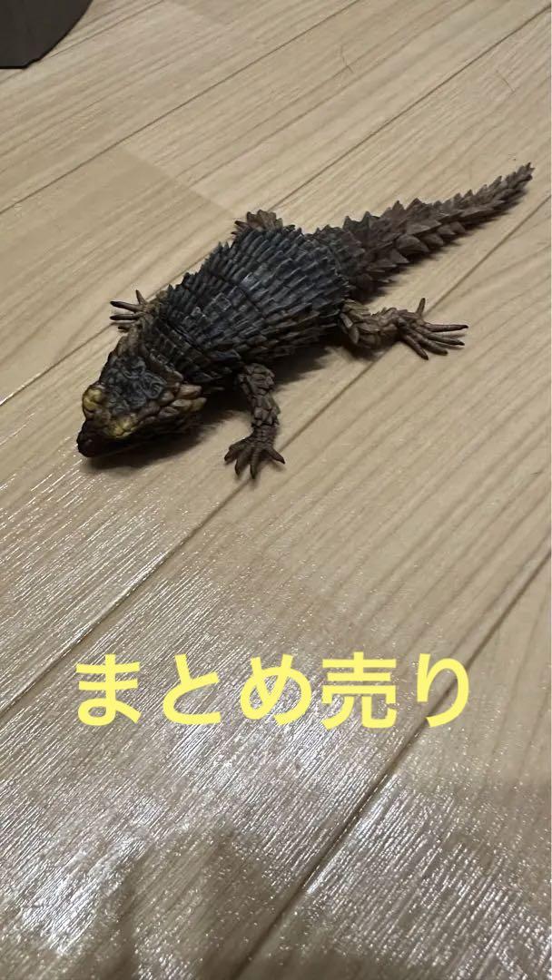 いきもの大図鑑 まとめ売り - その他オンライン ショップ
