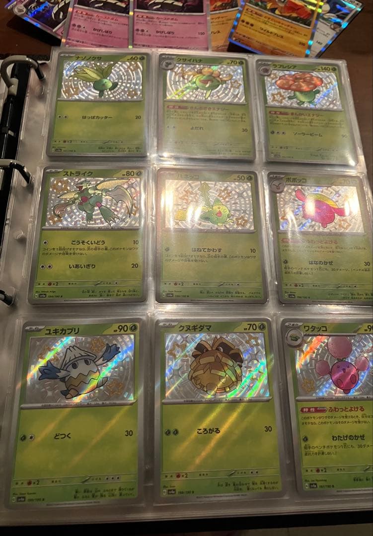 トウホクのピカチュウ