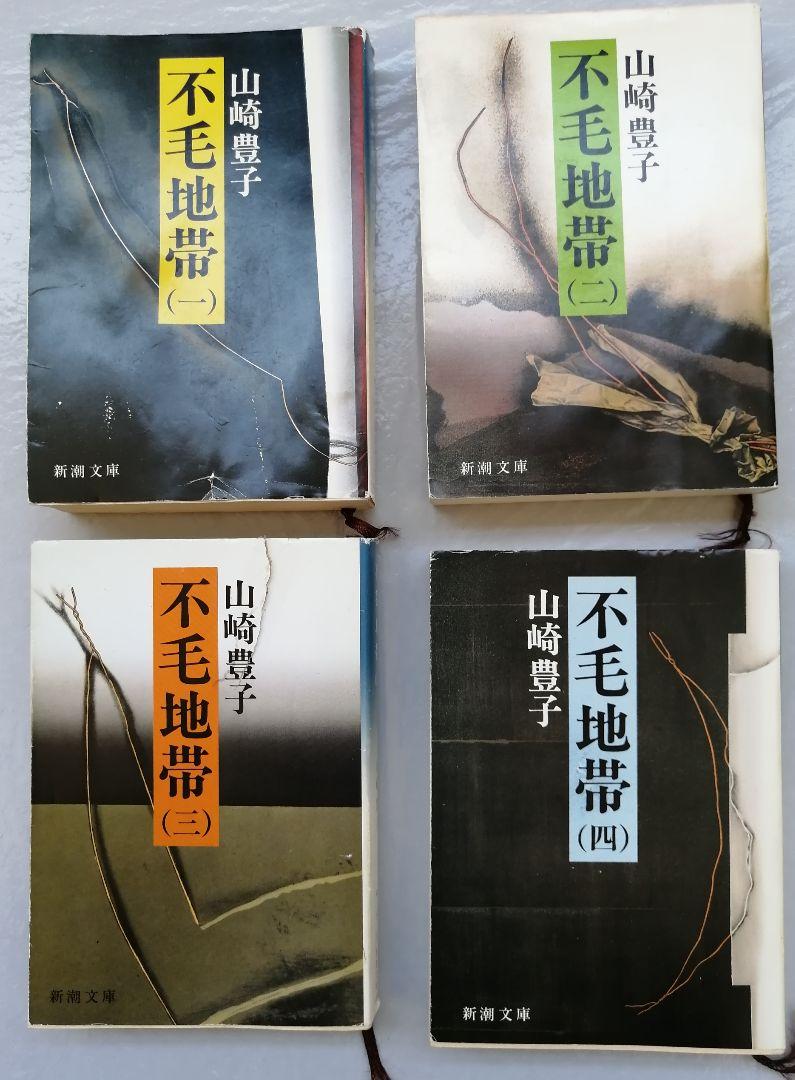 豊子 不毛 地帯 山崎