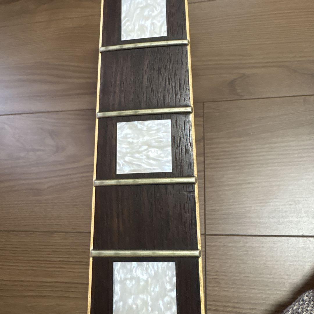 オーヴィルバイギブレスポールカスタムジャンク
