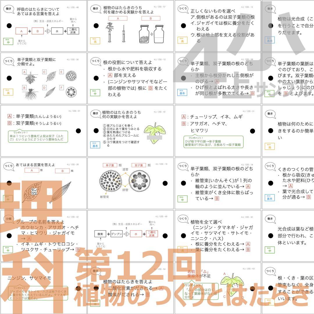 中学受験 暗記カード【4年上 理科 全セット 1-19回】組分けテスト対策