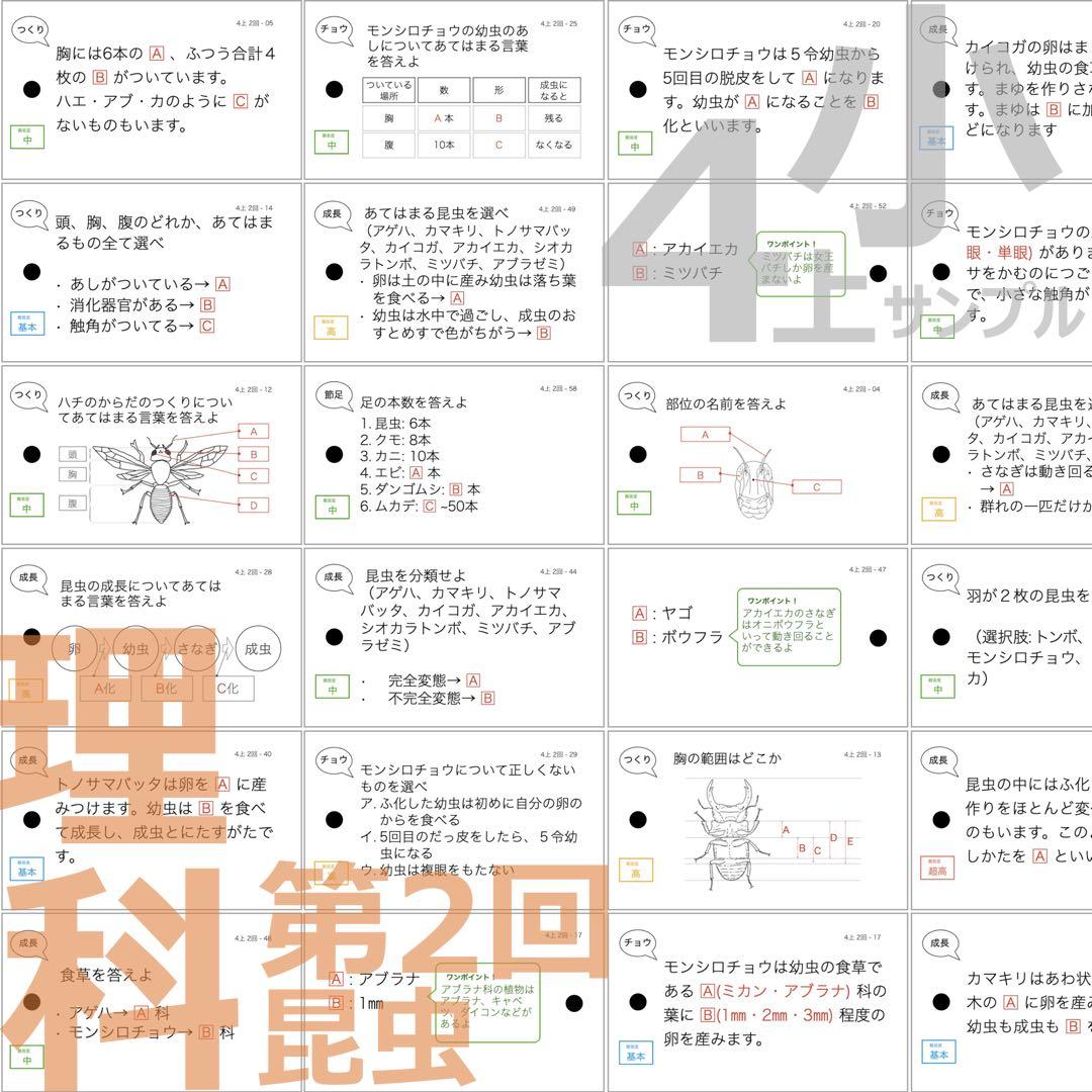 中学受験 暗記カード【4年上 理科 全セット 1-19回】組分けテスト対策