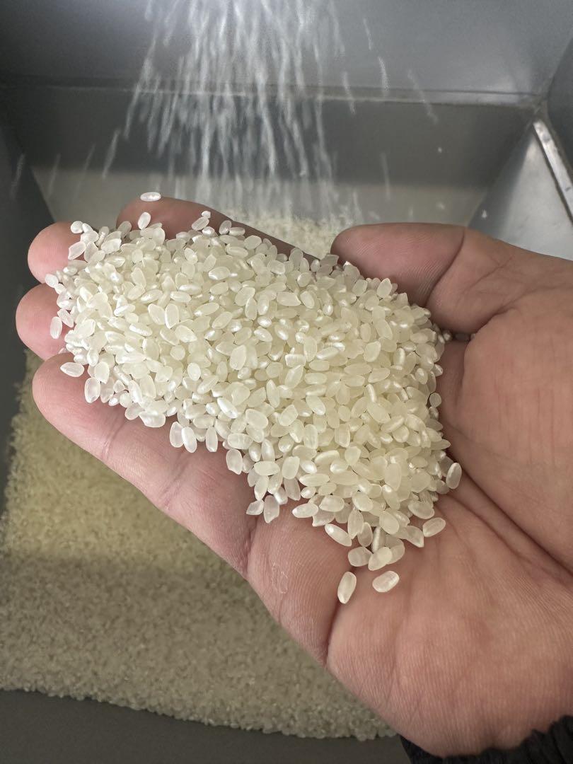 島根県産 （一等米）コシヒカリ 100%10kg 数量限定残り6袋