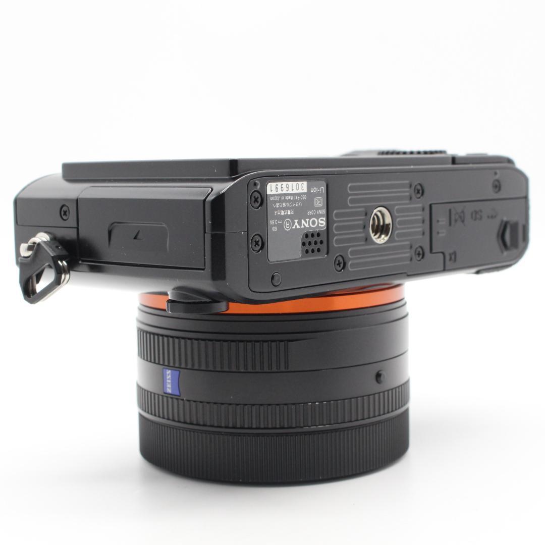 DSC-RX1