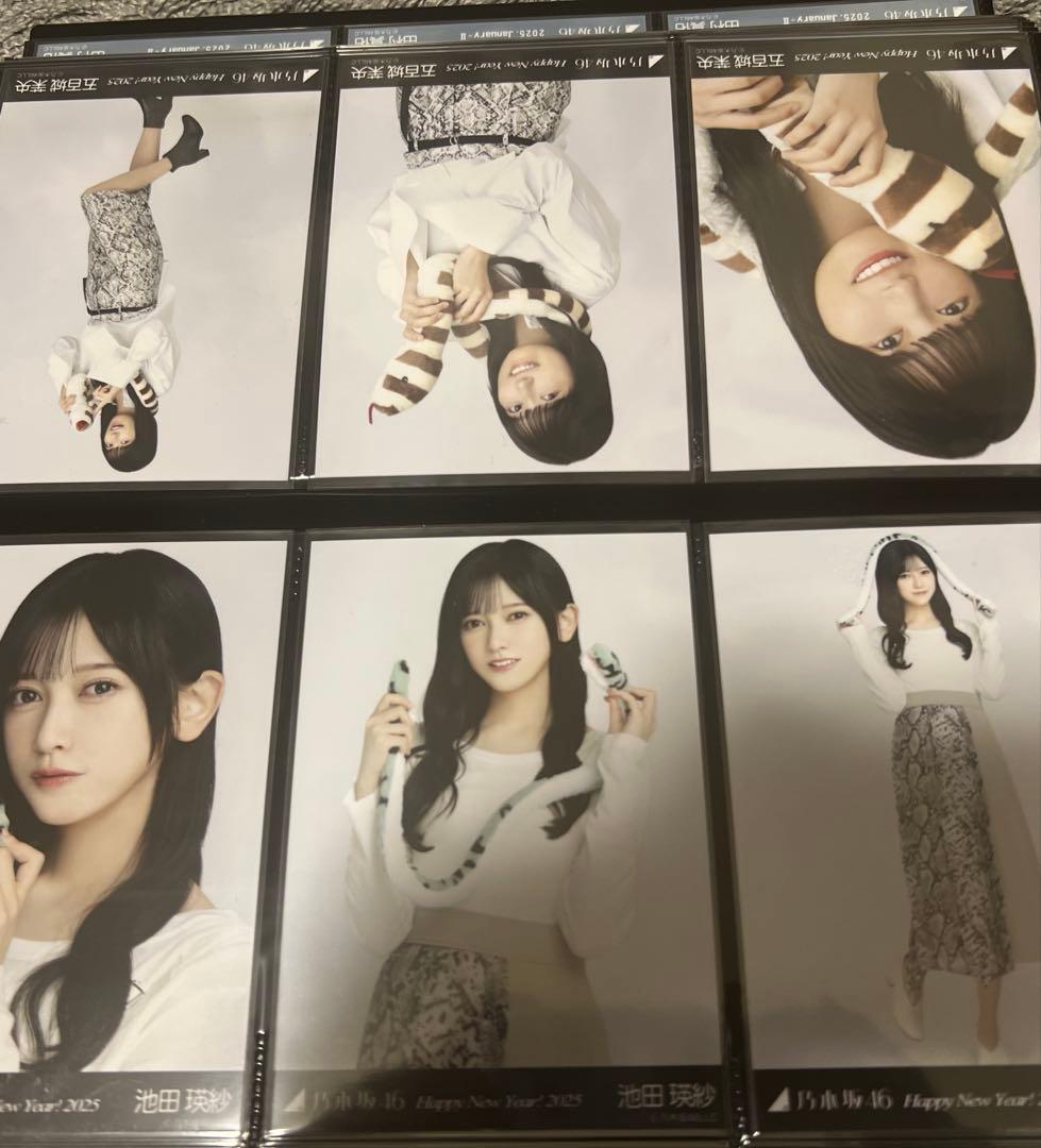 乃木坂46 生写真 猫耳ニット帽 干支 巳 へび 蛇 まとめ売り 乃木坂46 生写真 猫耳ニット帽 干支 巳 へび 蛇 まとめ売り