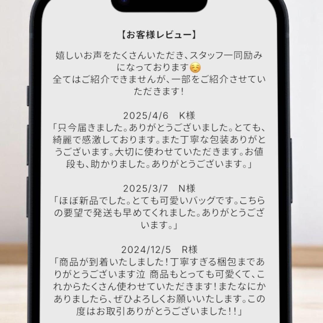 現行モデル 美品 ルイヴィトン ネックレス エッセンシャルV シルバー