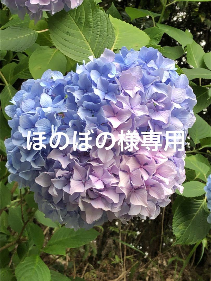 ほのぼの様専用