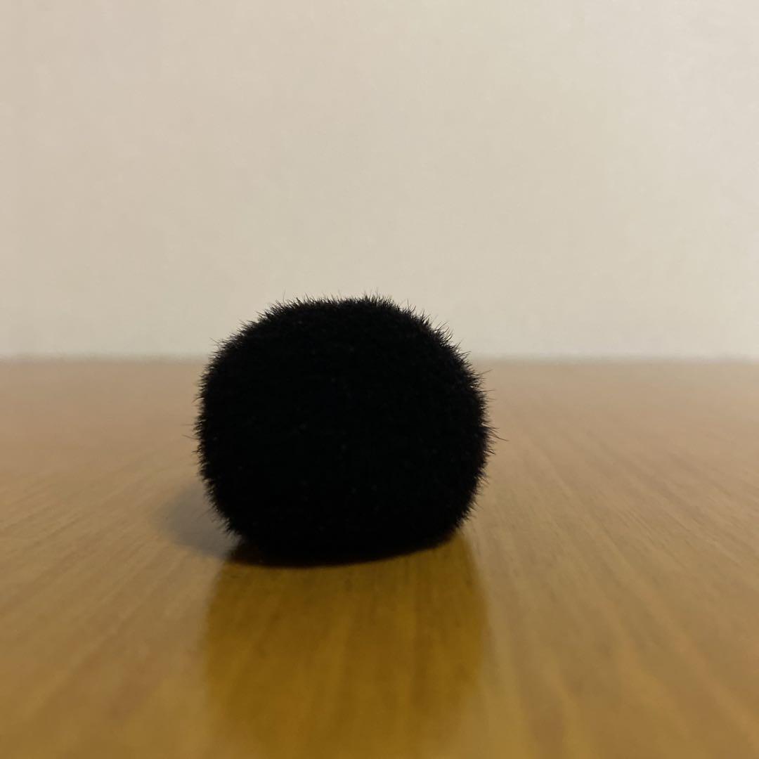 BISYODO フェイスブラシ 木製ハンドル