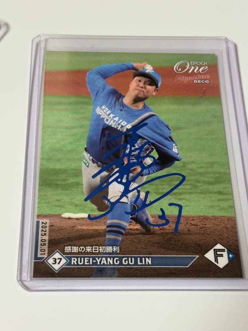 epoch 古林睿煬 青箔サインカード 日本ハム　チームカラー　20枚限定