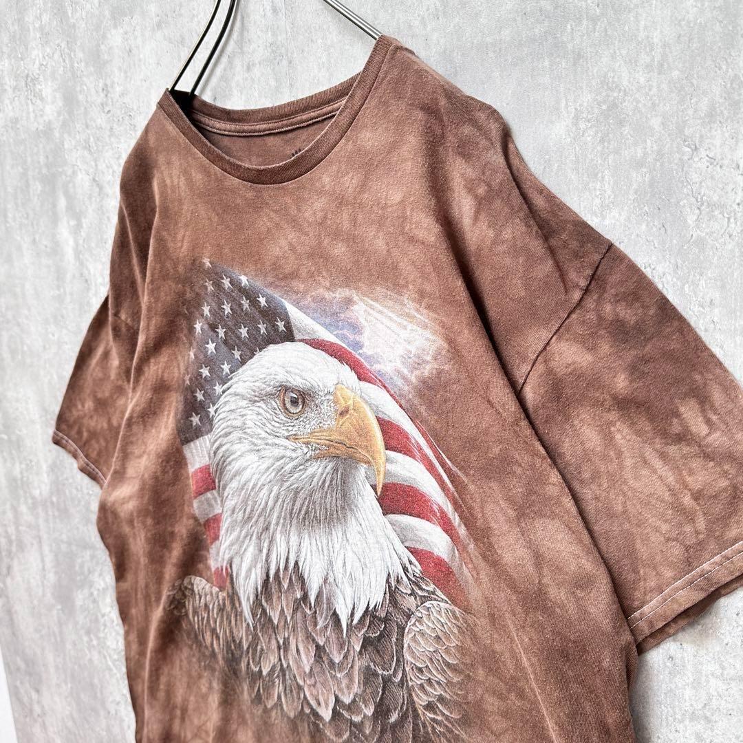 【THE MOUNTAIN】古着Tシャツ半袖メンズXLアメリカブラウン