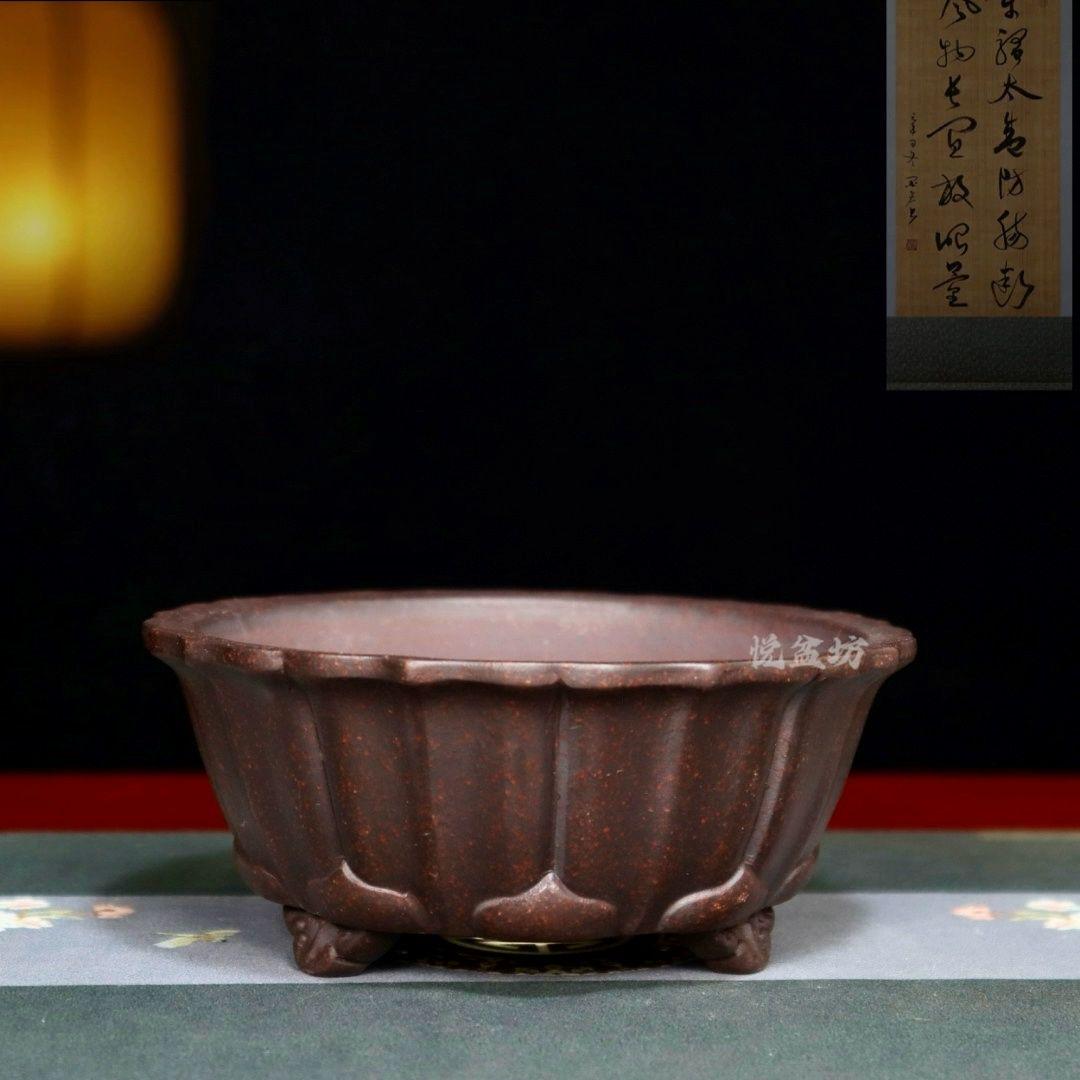 宜興 紫砂鉢 多肉菖蒲盆栽 長方鉢 大盆栽 小盆栽 宜興 紫砂鉢 多肉菖蒲盆栽 長方鉢 大盆栽 小盆栽