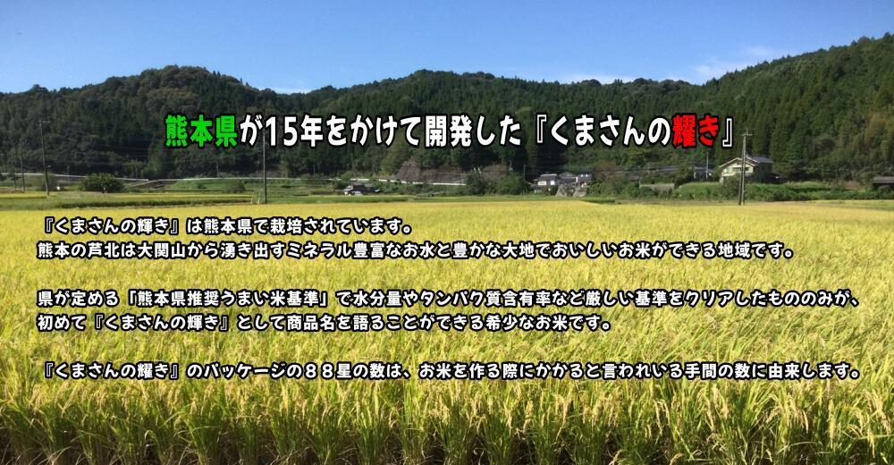 令和6年度熊本県芦北産 新米 くまさんの輝き【20kg】 最高級米【特Sランク】