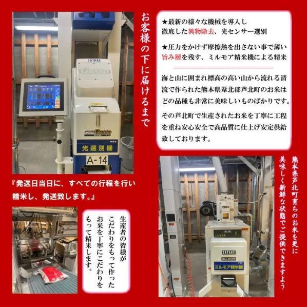令和6年度熊本県芦北産 新米 くまさんの輝き【20kg】 最高級米【特Sランク】