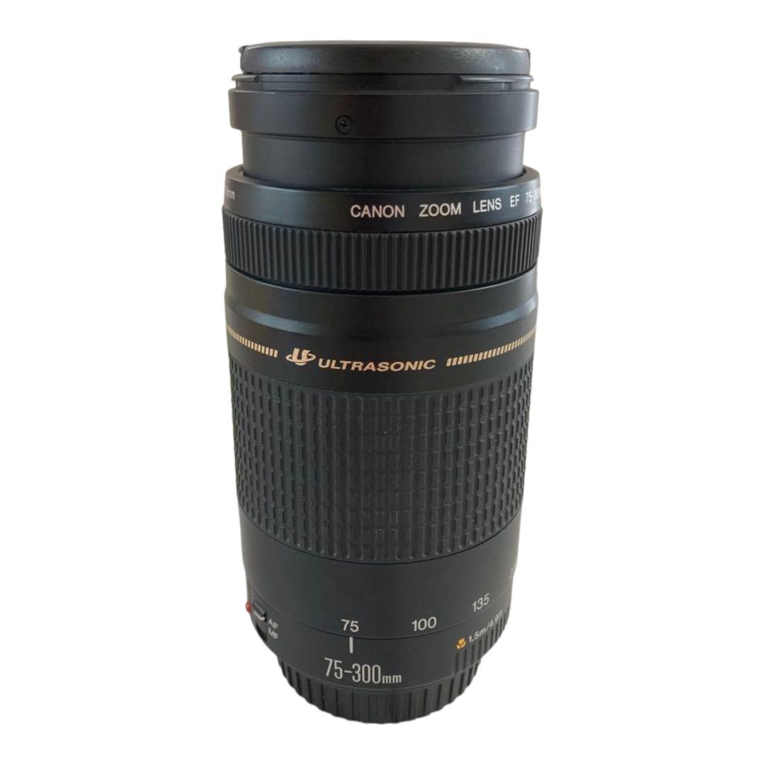 定番高評価 Canon - 極上品❤️イベントなど‼️迫力の300mm❤️Canon