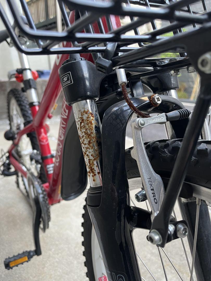 ✴︎引取限定　ルイガノ自転車　ジュニア　J24
