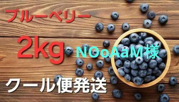 生ブルーベリー　2kg