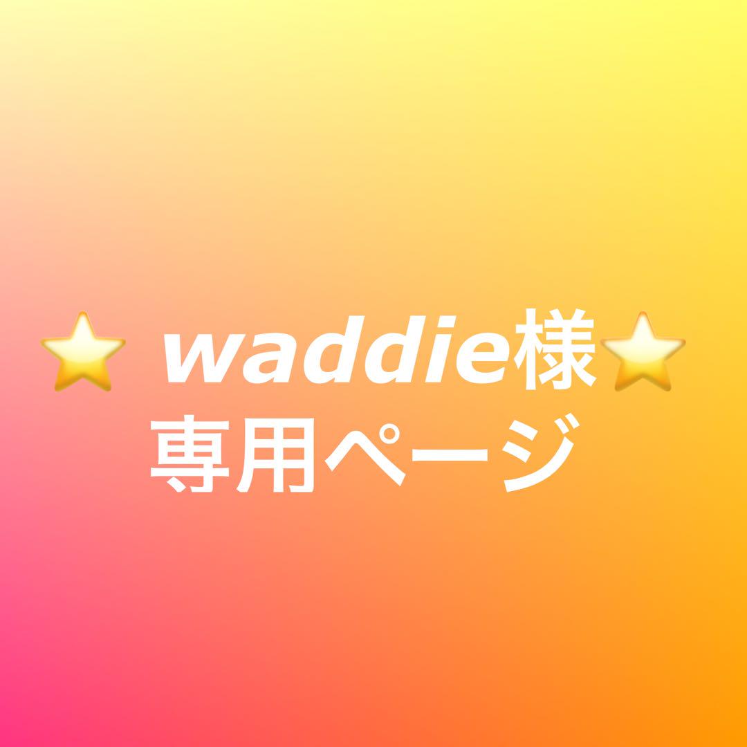 waddie様専用ページ　2体セット　新品