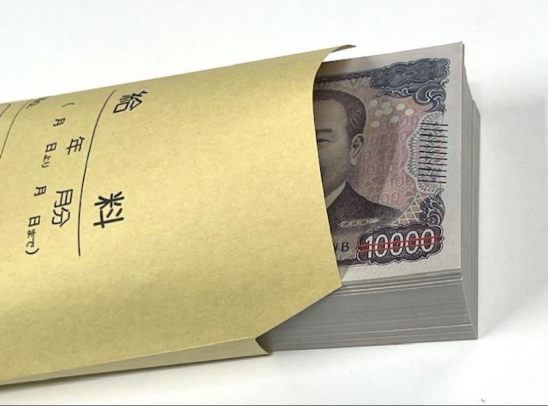 ダミー紙幣100万円札束　100枚すべて印刷　金融機関共通帯封　1束　新品