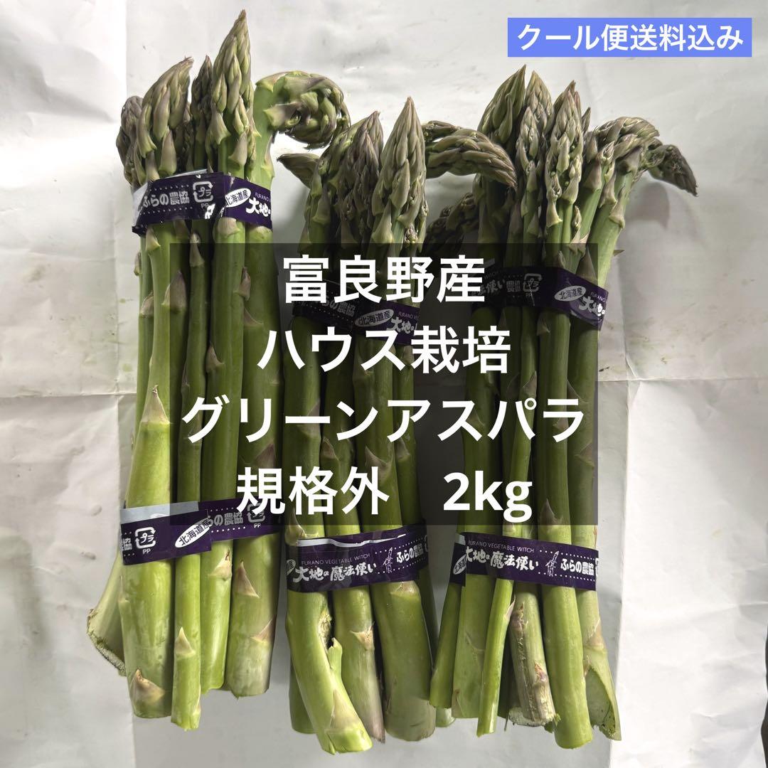 大豆 令和6年秋田県産 5キロ 煮豆、味噌作り、豆乳に