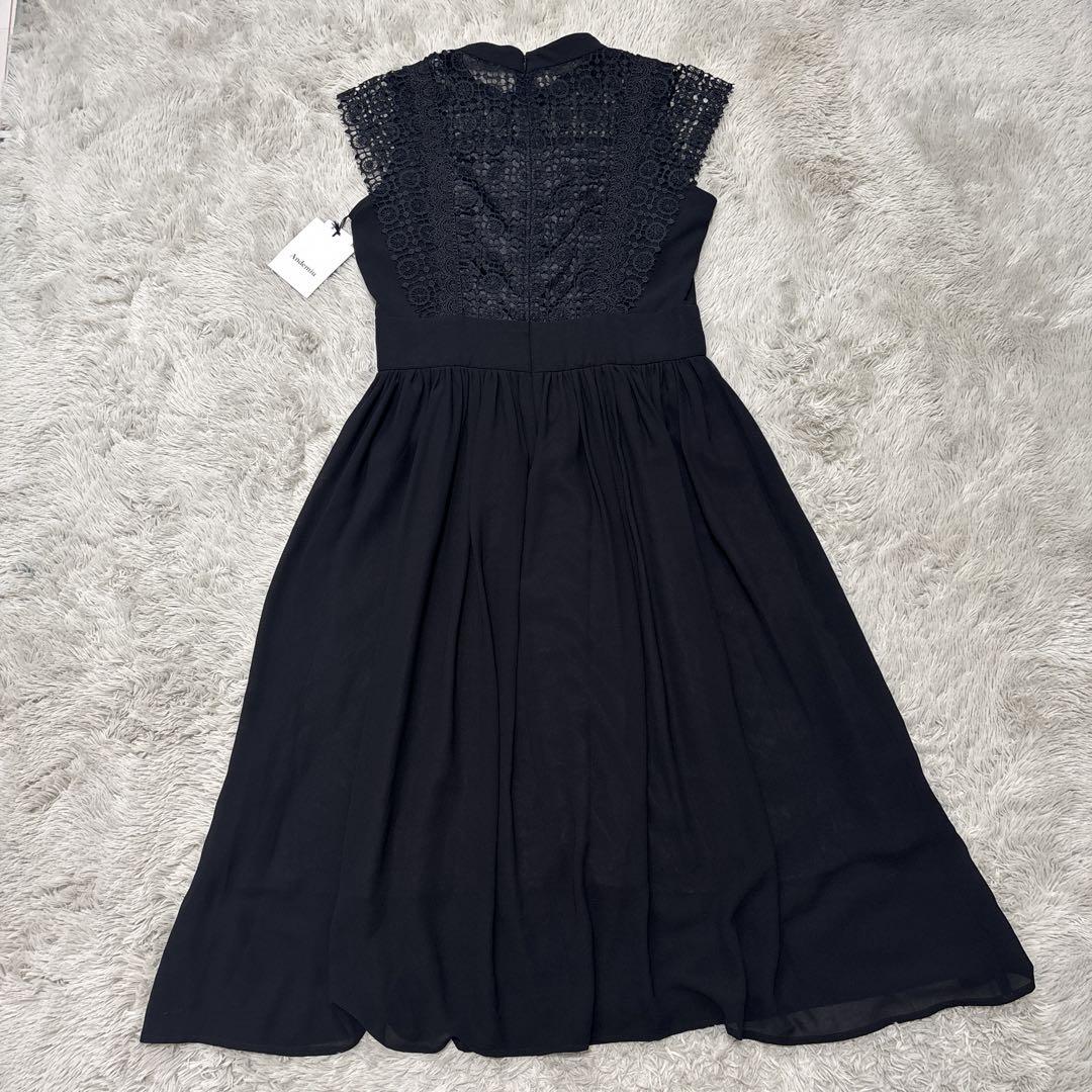 新品タグ付き【Andemiu】アンデミュウ レースキリカエシフォン