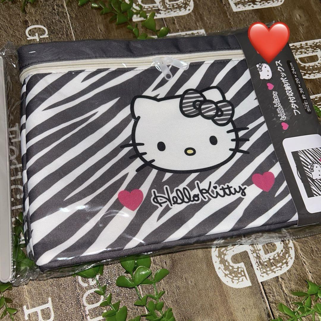 キティちゃん　バタフライキティ　収納ボックス 希少 レトロ ハローキティ キティ バタフライキティ 収納 ケース