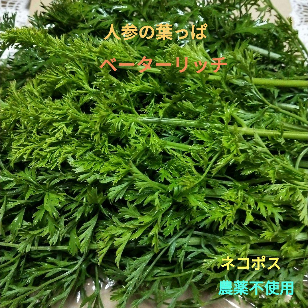 ★★コメント専用★★【まるちゃん農園】　農薬不使用、除草剤不使用、化学肥料不使用 農薬＊除草剤＊化学肥料不使用 愛媛県産 黒皮大玉スイカ タヒチ