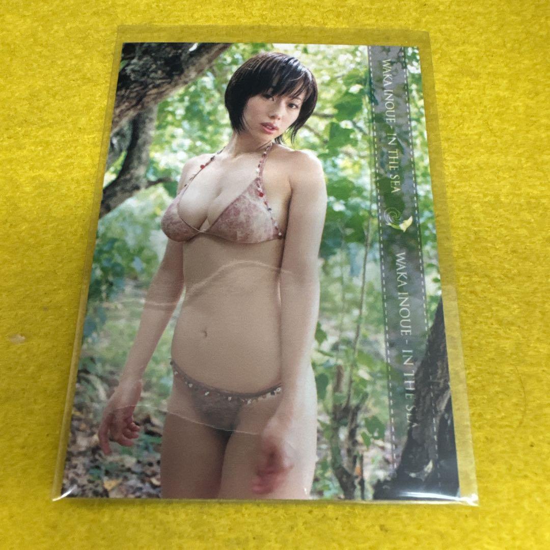 井上和香◆034■BOMB CARD HYPER 井上和香2 井上和香◇106□BOMB CARD HYPER 井上和香2の通販 by アセチレン