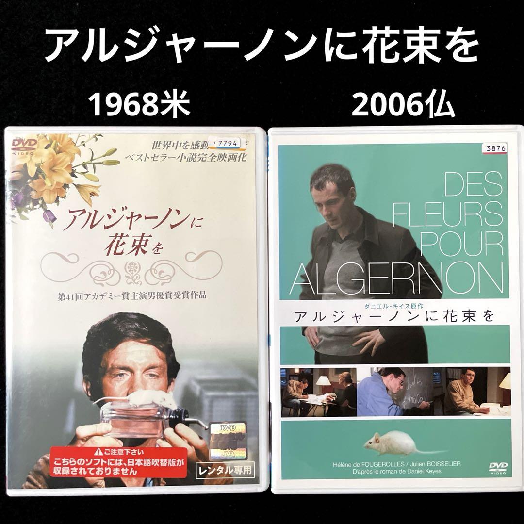 アルジャーノンに花束を／DVD-BOX（送料無料・6枚組） | HBC