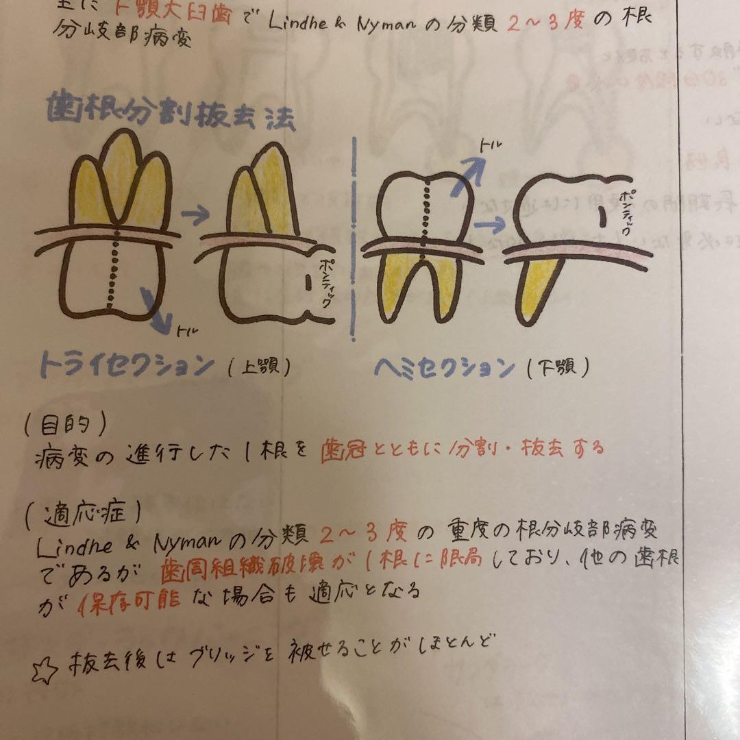 歯科衛生士国家試験まとめノート