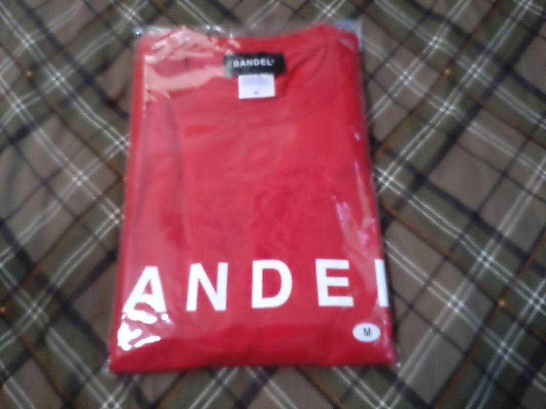 BANDEL KIKUCHI 33 Tシャツ Mサイズ