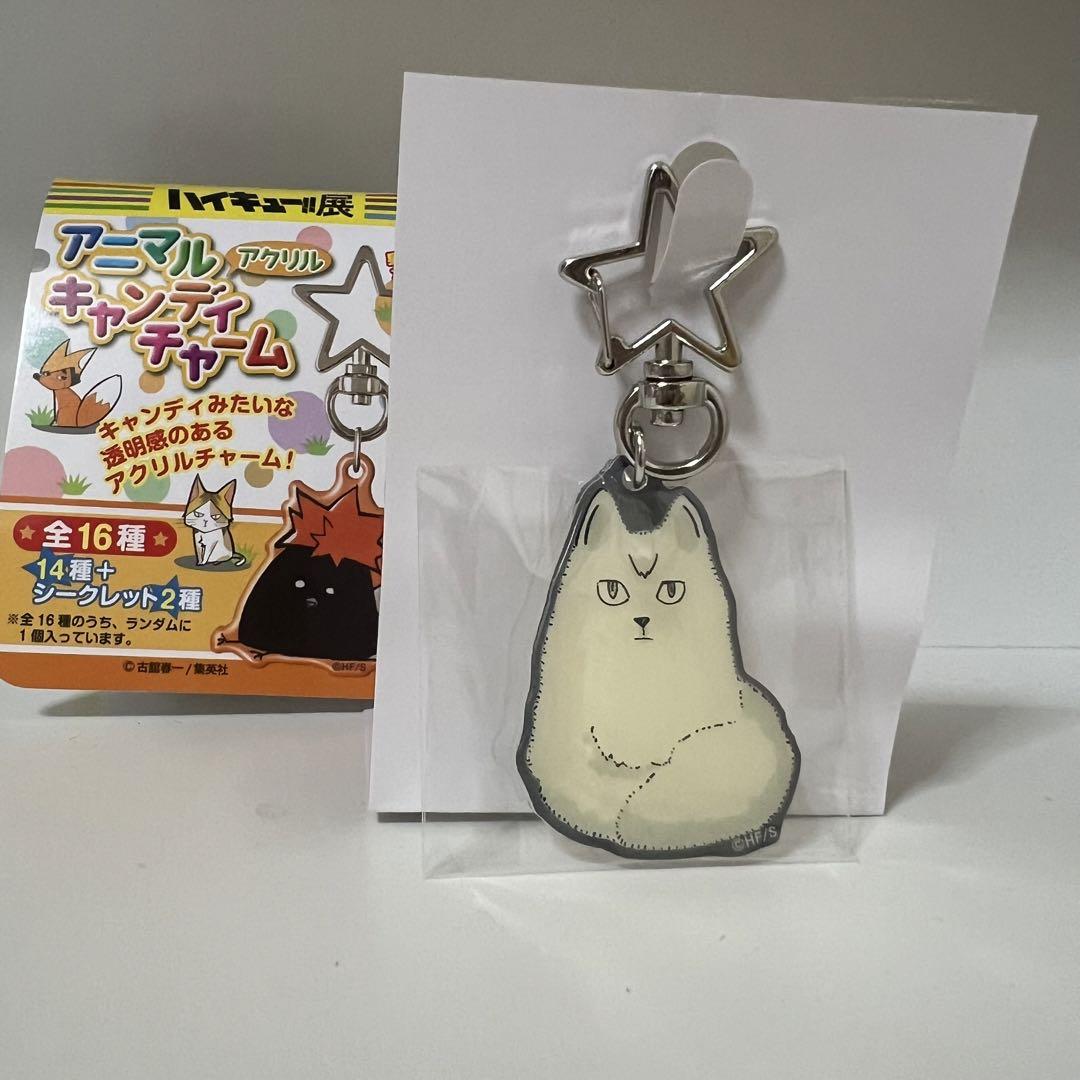 【新品未開封】ハイキュー!! 北信介 キタキツネ ♥ 5点 Amazon.co.jp: ハイキュー!! キタキツネのしっぽポーチ 北信介