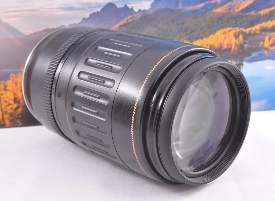 最高の瞬間を望遠で Canon キヤノン 望遠レンズ EF100-300mm＃9