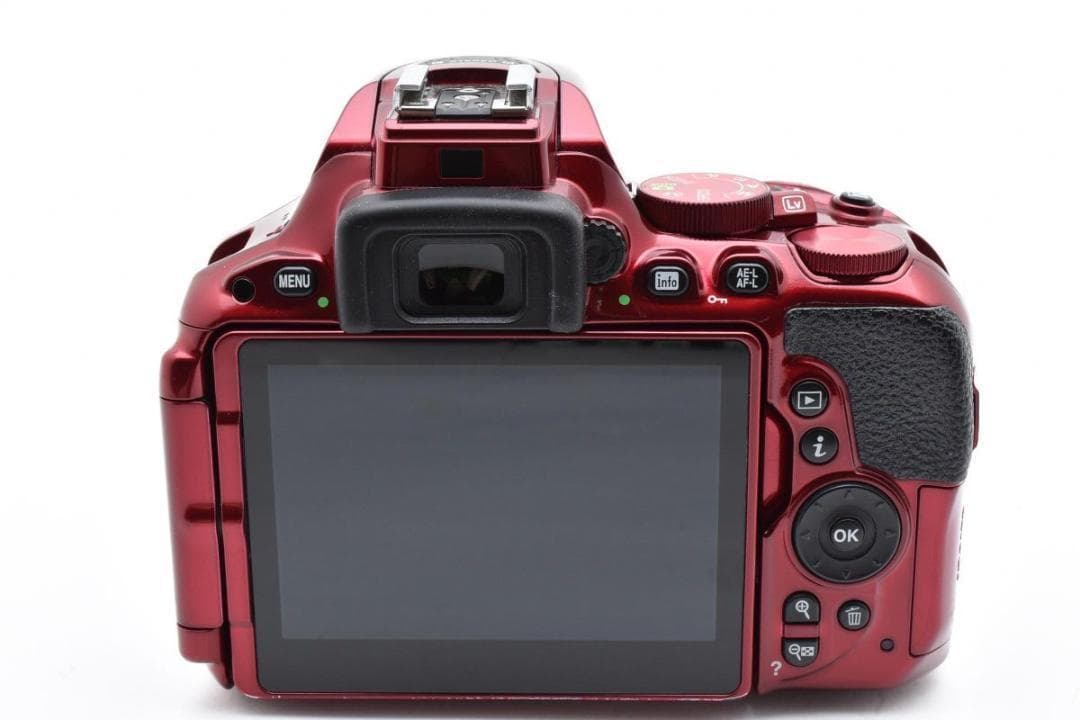 【大人気カラー】 Nikon ニコン D5500 レッド 赤 デジタル一眼カメラ