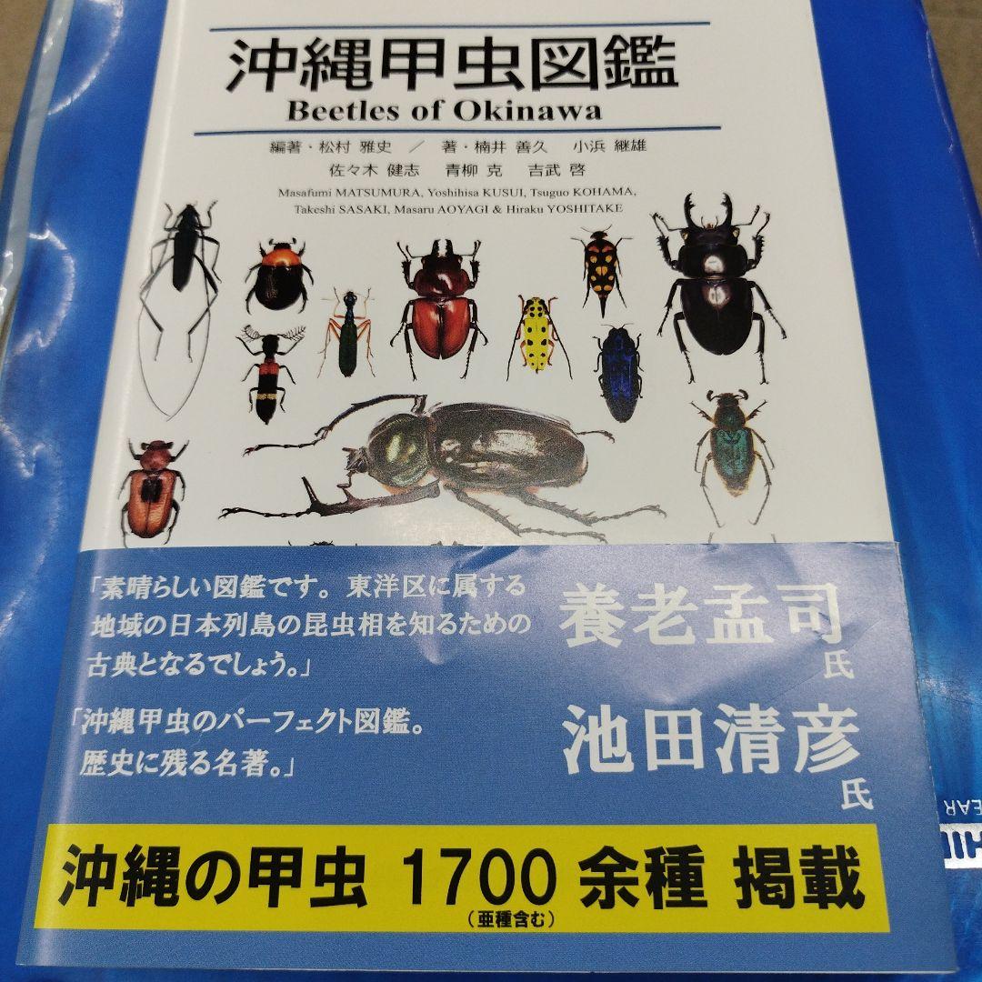 Amazon.co.jp: きらめく甲虫 (幻冬舎単行本) 電子書籍: 丸山宗利