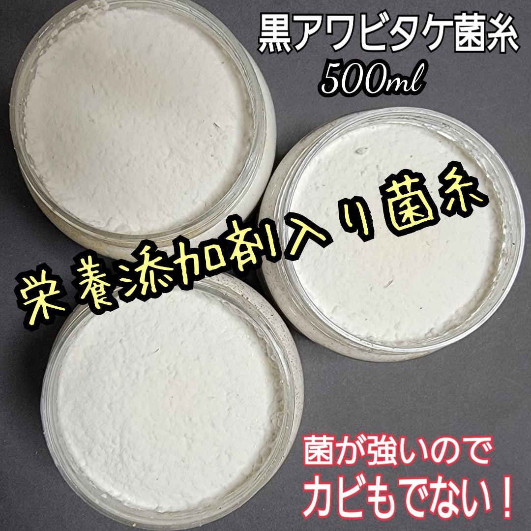 ニジイロクワガタに抜群！黒アワビタケ菌糸瓶【4本】栄養添加剤