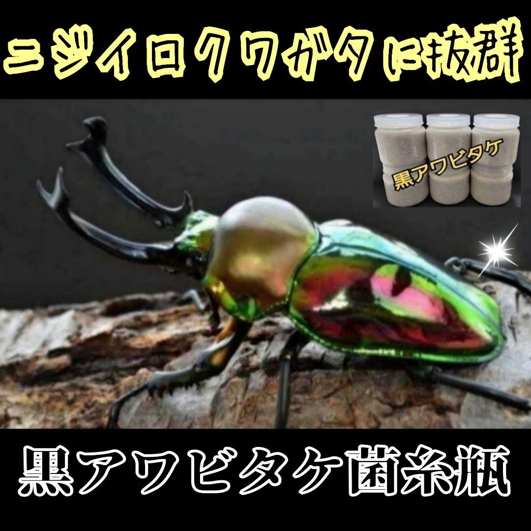 20-60代 人気ファッションブランド ニジイロクワガタに抜群！黒アワビタケ菌糸瓶【4本】栄養添加剤 幼虫飼育・菌糸瓶