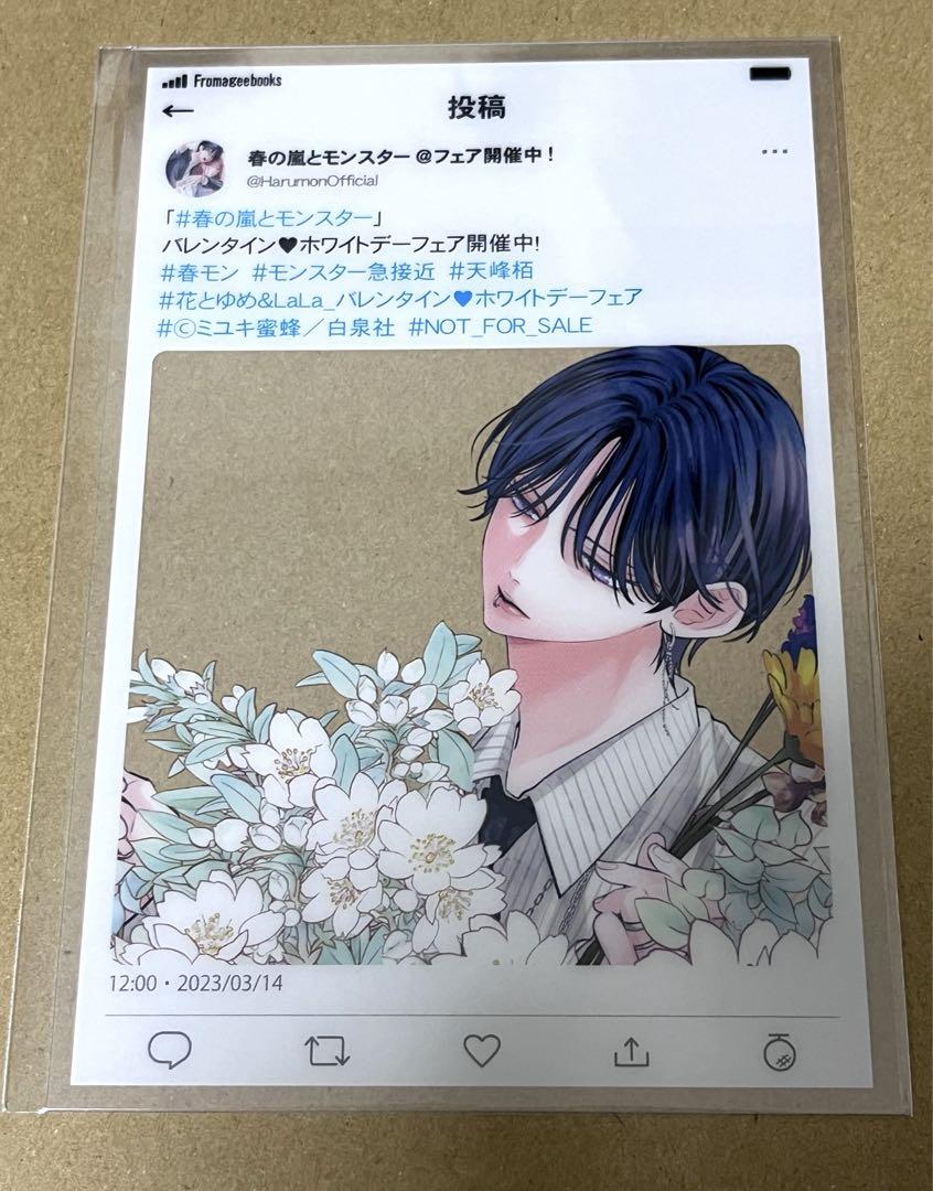 春の嵐とモンスター　特典　SNS風クリアカード　春野嵐　天峰栢　非売品 春の嵐とモンスター SNS風クリアカード 天峰栢 ホワイトデー
