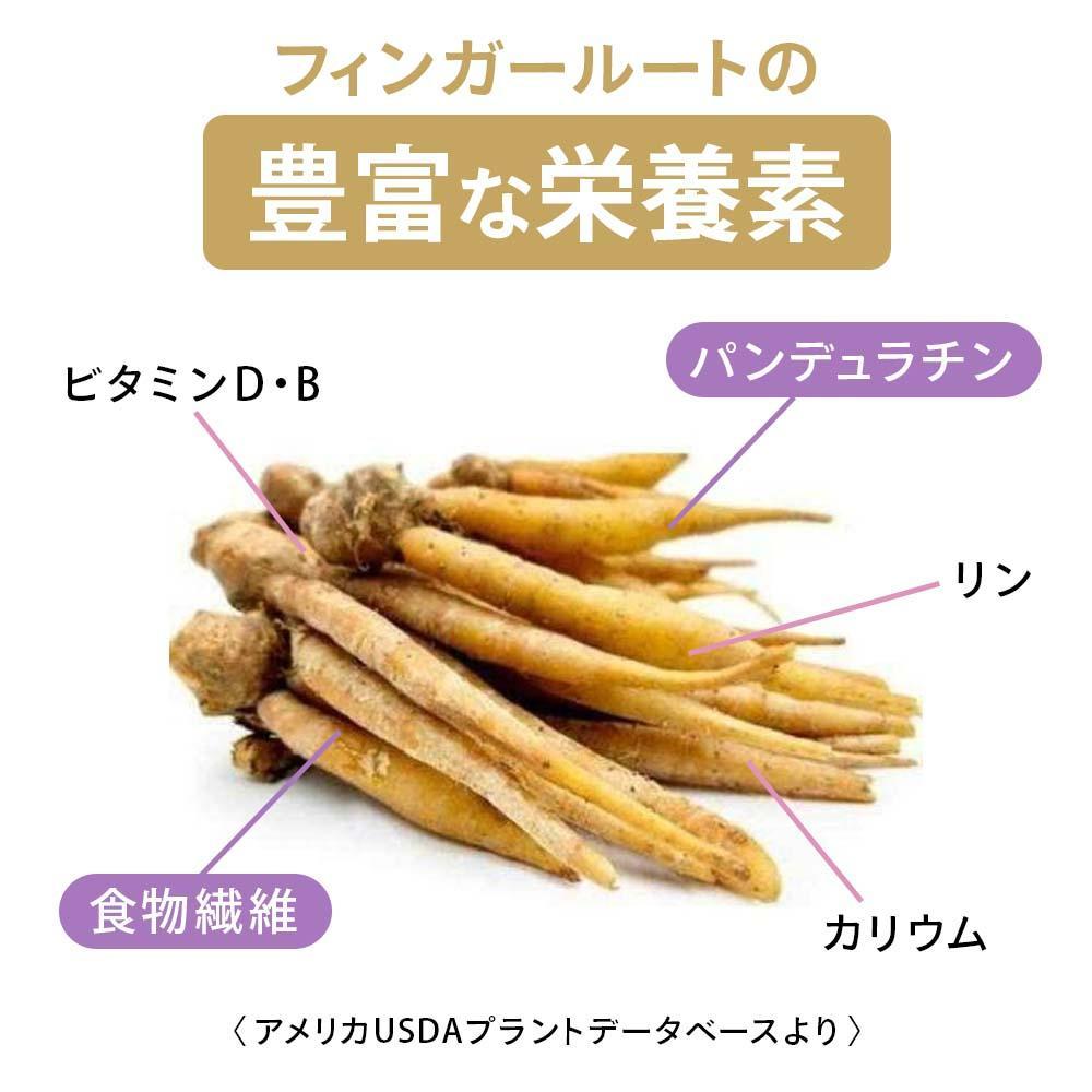 燃えるしょうがパワー フィンガールートカプセル180粒×3袋セット 健康 美容