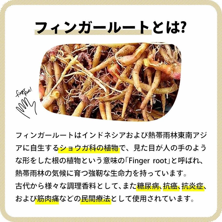 燃えるしょうがパワー フィンガールートカプセル180粒×3袋セット 健康 美容