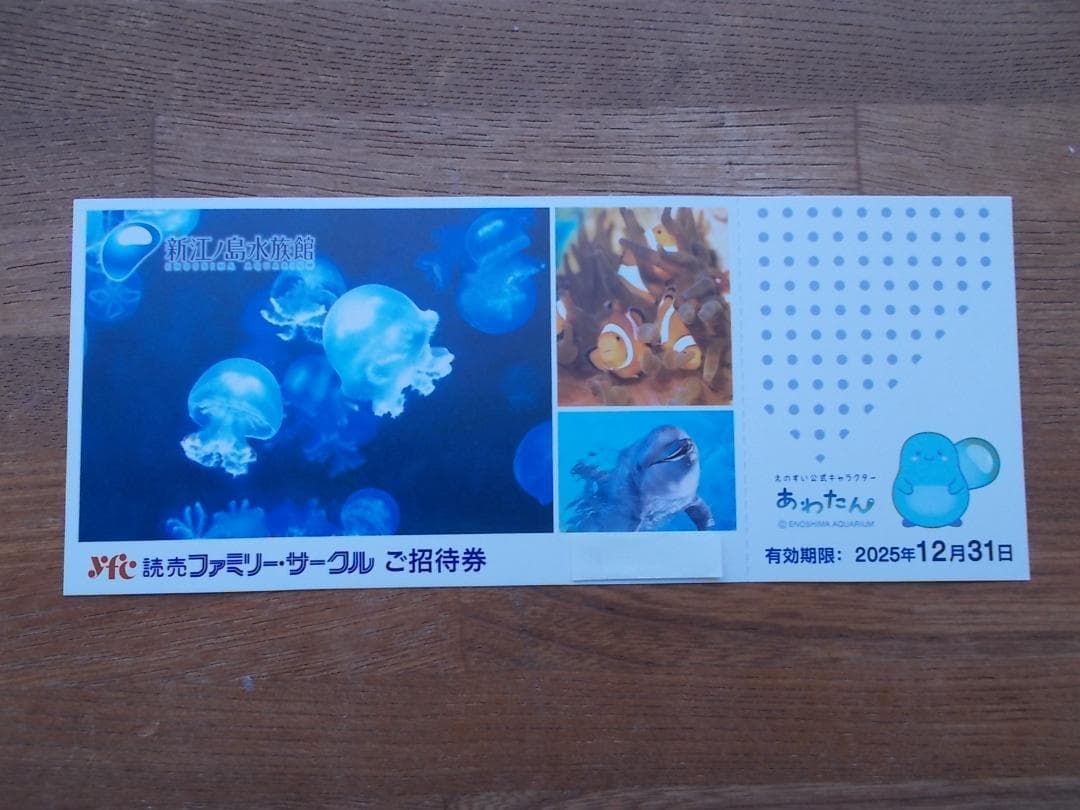 新江ノ島水族館 利用券 3枚セット 有効期限2024年１２月30日まで 新江ノ島水族館｜Yahoo!フリマ（旧PayPayフリマ）