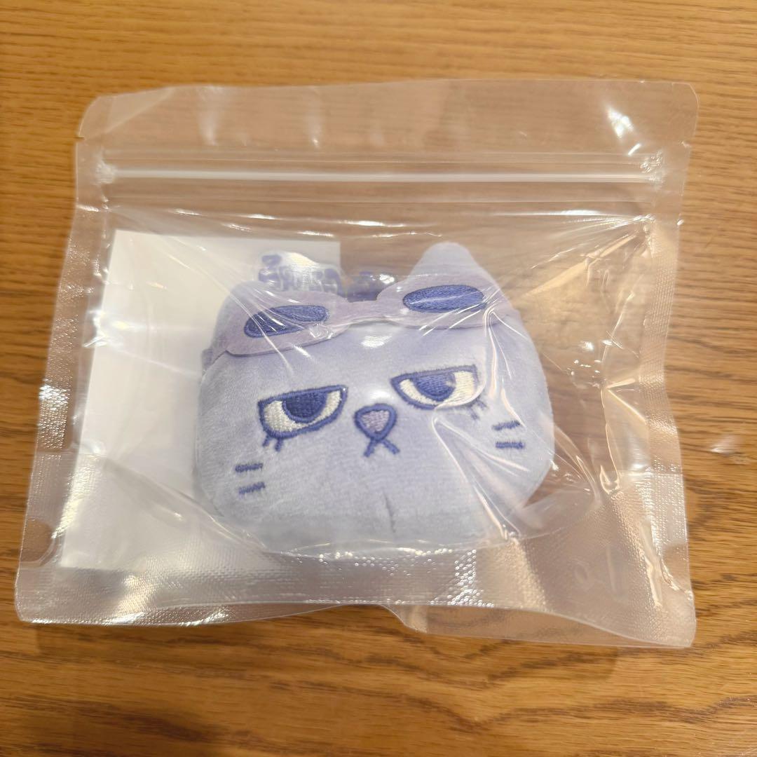 BOYNEXTDOOR BBNEXDO ボネクド プネクド キーリング テサン