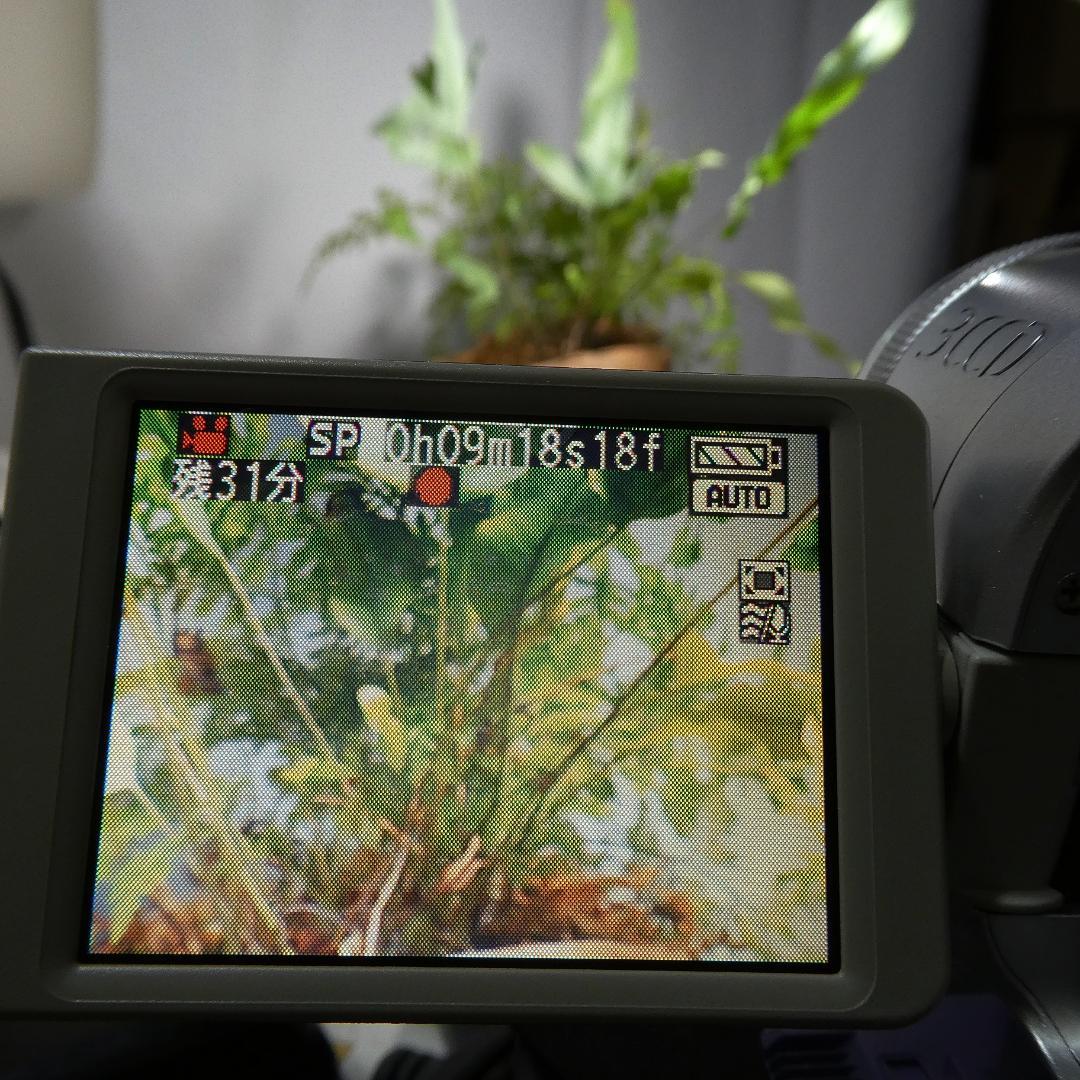 美品・動作良好 パナソニック NV-GS150K-S MiniDVビデオカメラ
