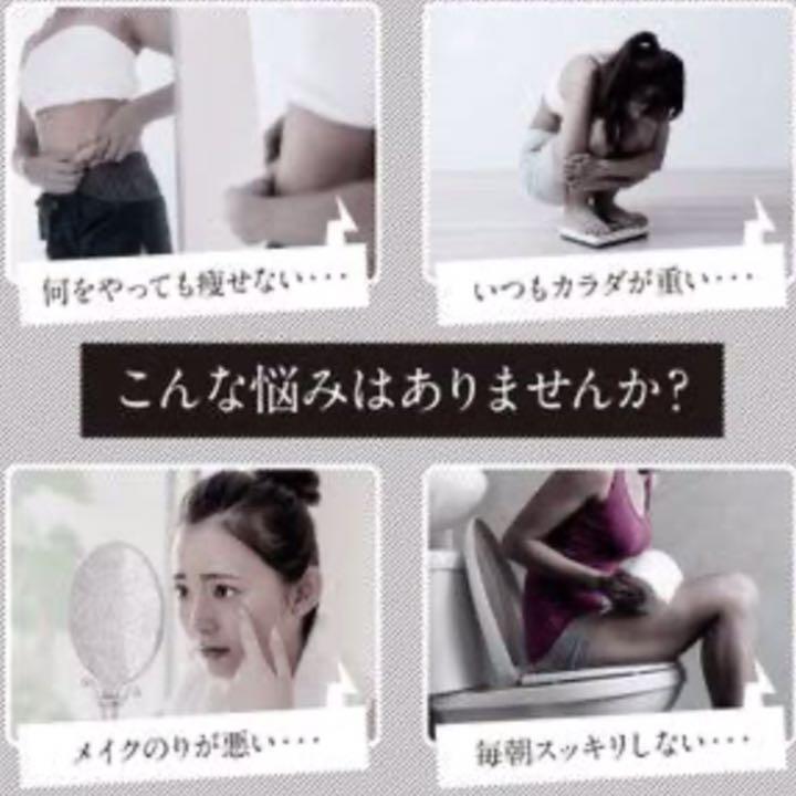 チャコールダイエタリーファイバー