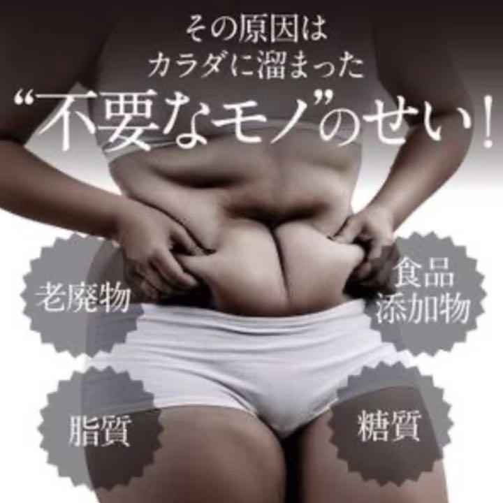 チャコールダイエタリーファイバー