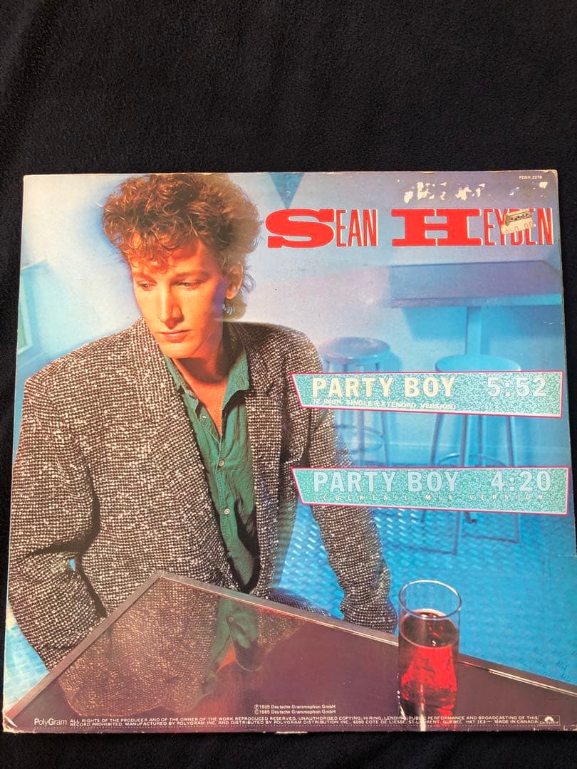 Sean Heyden Party Boy レコード