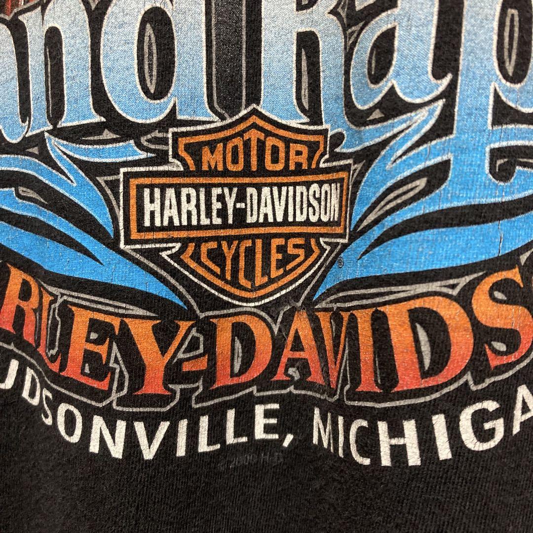 HARLEY DAVIDSON ロンT ハーレーダビッドソン Rapids XL